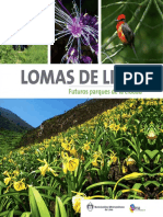 Lomas de Lima - Compressed