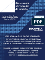 El uso de Cal y Melaza para.pdf