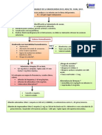 BRadicardia PDF