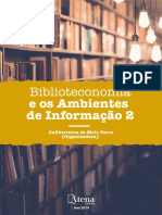 e-book-Biblioteconomia-e-os-Ambientes-de-Informacao-2-1
