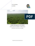 Cultivo de Palma Africana en Guatemala PDF