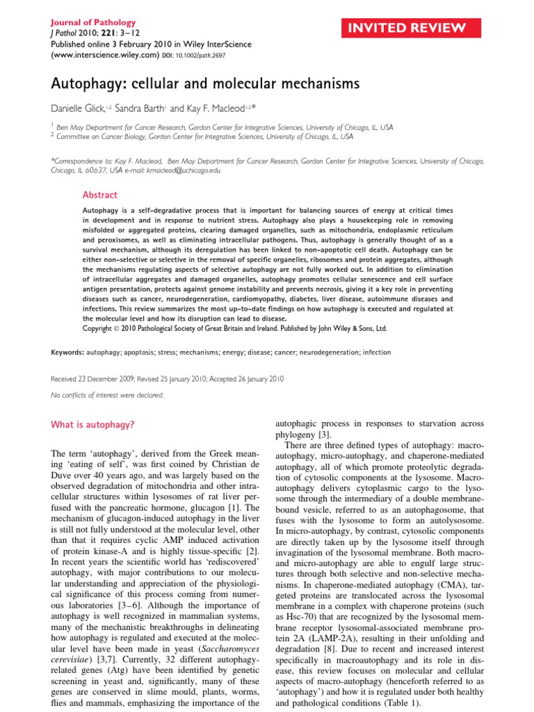 Autophagy Cellular and Molecular Mechanisms | PDF | Autophagy ...