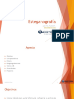 4esteganografía PDF