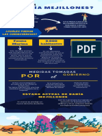 Tiburón Conservación Marina Organización Benéfica Infografía PDF