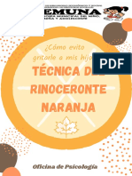 Tecnica Del Rinoceronte Naranja