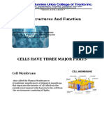 Cell Structures and Function: Cells