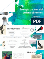 Expo Aves Amniotas 2.0.pdf