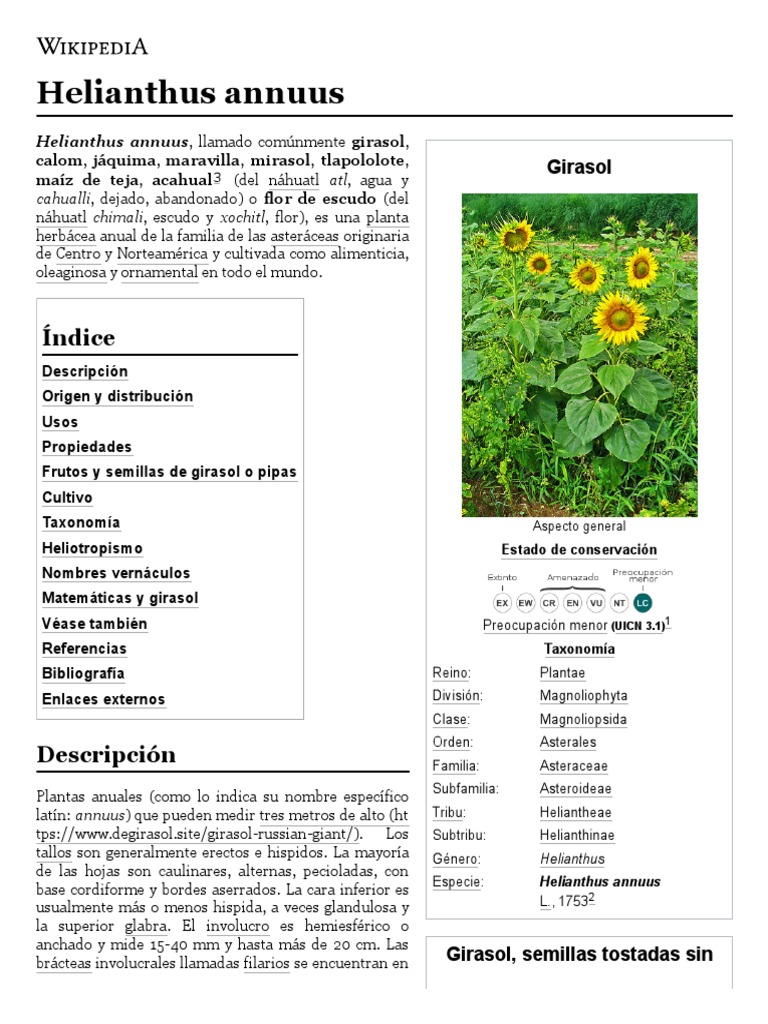 Helianthus Annuus - Girasol | PDF | Botánica | Plantas