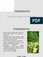 PTERIDOPHYTA