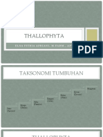 Thallophyta Dan Fungi