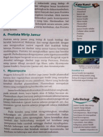 PROTISTA.pdf