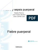 Sepsis Puerperal