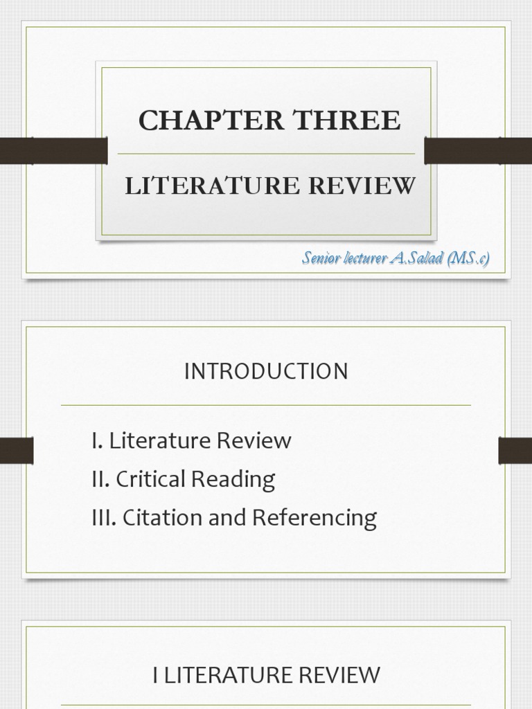 3 literature review