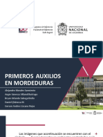 Primeros - Auxilios - en Mordeduras