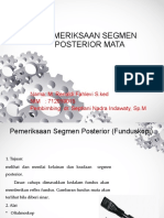 Pemeriksaan Segmen Posterior Mata