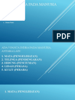 SISTEM INDRA PADA MANUSIA PPT