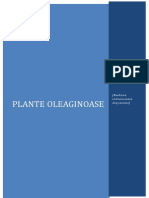 1.planta Oleaginoasă Este Planta Din Care Se Poate Obține Ulei