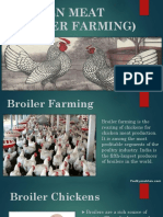 Chicken Meat (Broiler Farming)