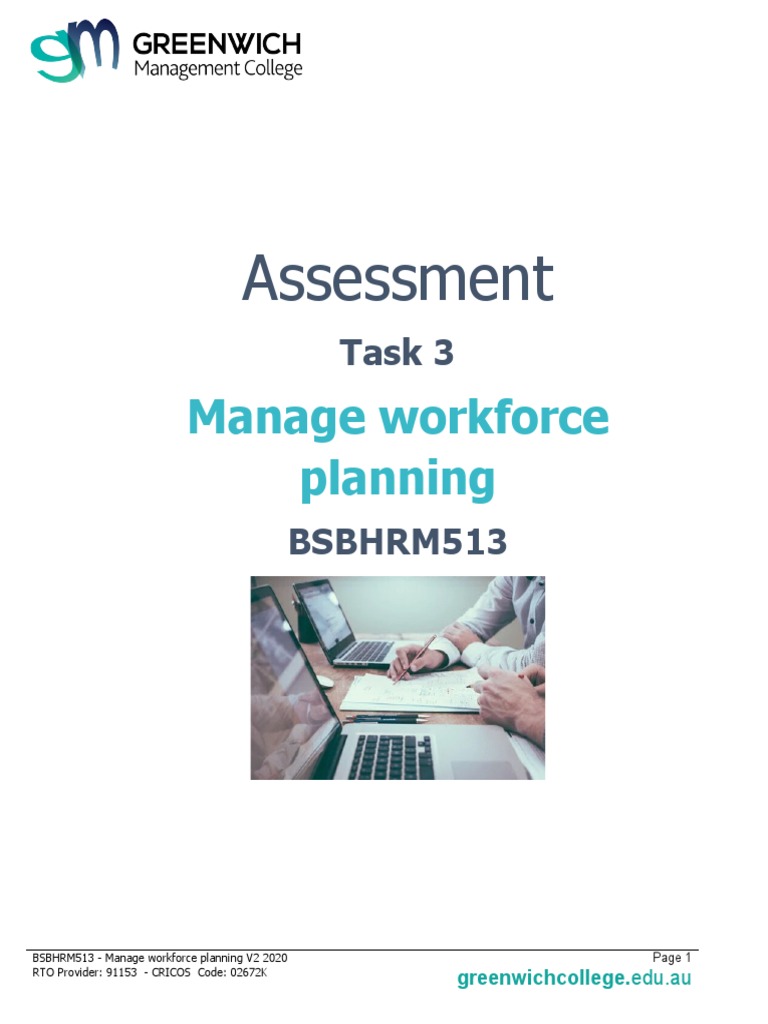 Workforce Planning Assessment Task 3 | PDF | Recruitment | Employment