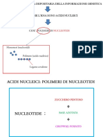 5-STRUTTURA ED ORGANIZZAZIONE DEL DNA.pdf