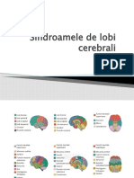 Sindroame de Lobi Cerebrali Final