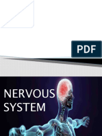 NERVOUS_SYSTEM.pptx