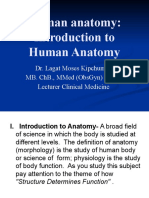 Human Anatomy: Introduction To Human Anatomy