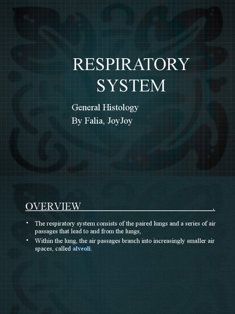 Overview of the Respiratory System | PDF | Respiratory Tract | Lung