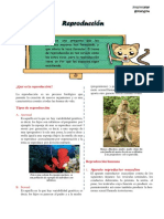 Reproduccion 12 - 11 PDF