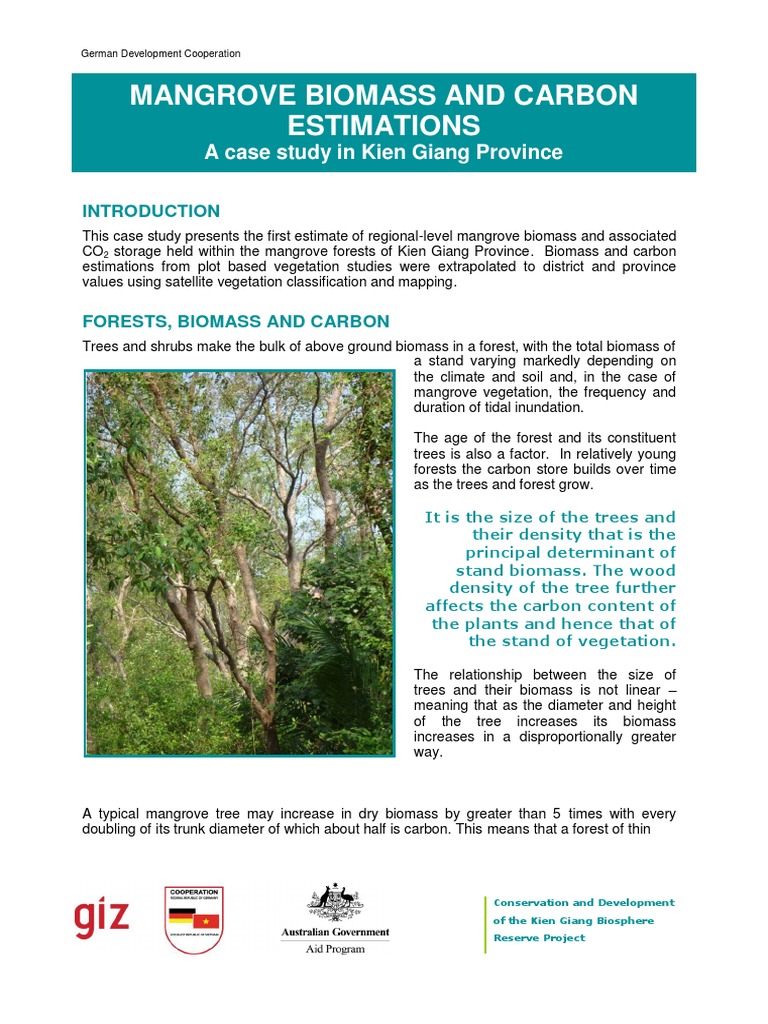 Mangrove Biomass and Carbon Estimations: A Case Study in Kien Giang ...