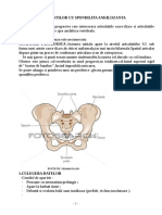 4.sa Curs PDF