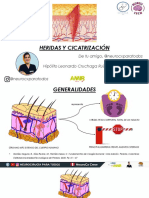 Herida y Cicatrizacion PDF