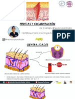 HERIDA Y CICATRIZACION.pdf