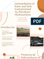 Phytoremediation of Water and Soils Contaminated by Petroleum Hydrocarbons