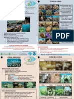 BureauofStatisticsa Corals ID Guide5