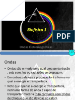 Biofísica 1. Ondas Eletromagnéticas PDF