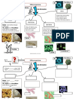 mikroorganisma.pdf