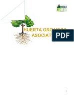 Huerta Organica Asociativa 1