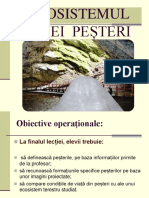 Pestera.pdf