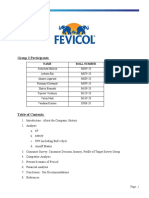 Fevicol Report Group - 2