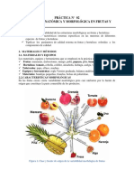 Variabilidad morfológica frutas hortalizas