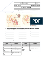 94040267-1º-Teste-de-Avaliacao.pdf