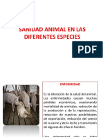 SANIDAD ANIMAL EN LAS DIFERENTES ESPECIES