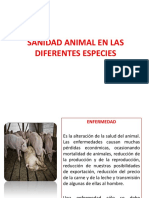 Sanidad Animal en Las Diferentes Especies
