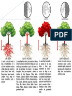 Fase Lunar Plantas