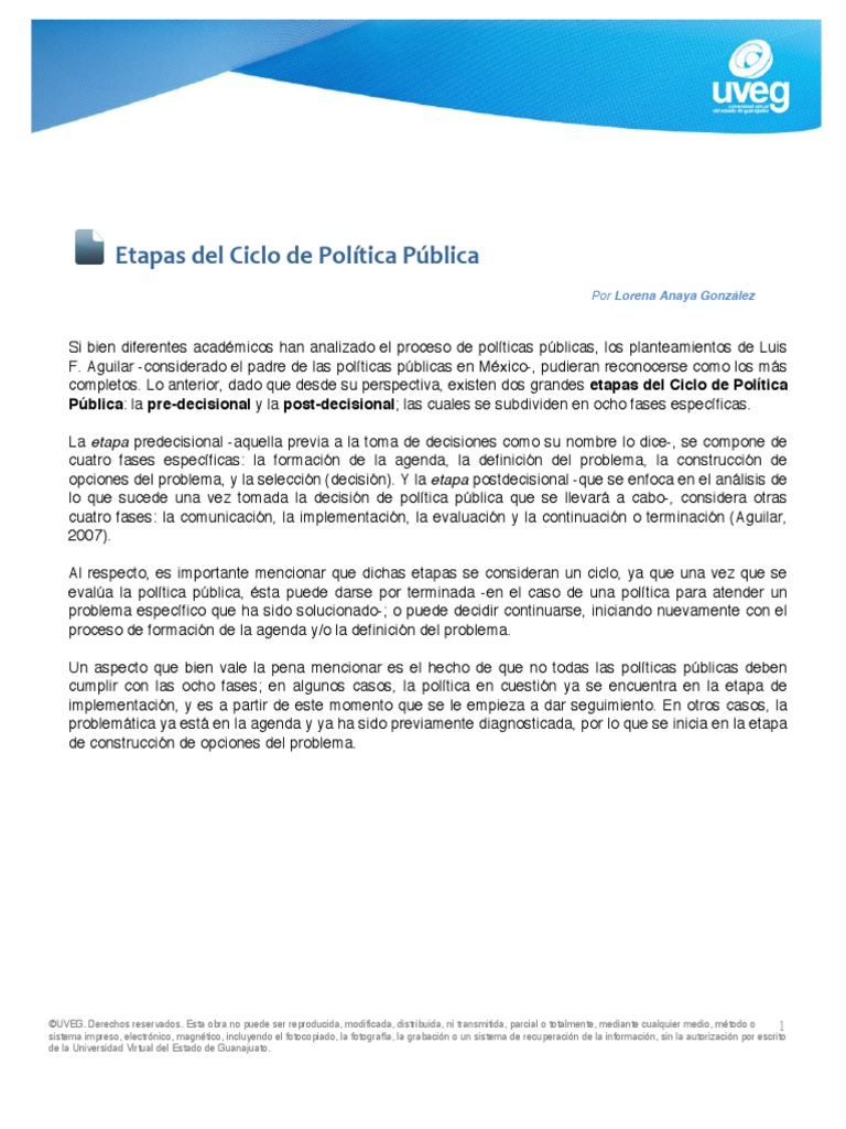 Etapas Del Ciclo de Poltica Pblica | PDF | Evaluación | Toma de decisiones