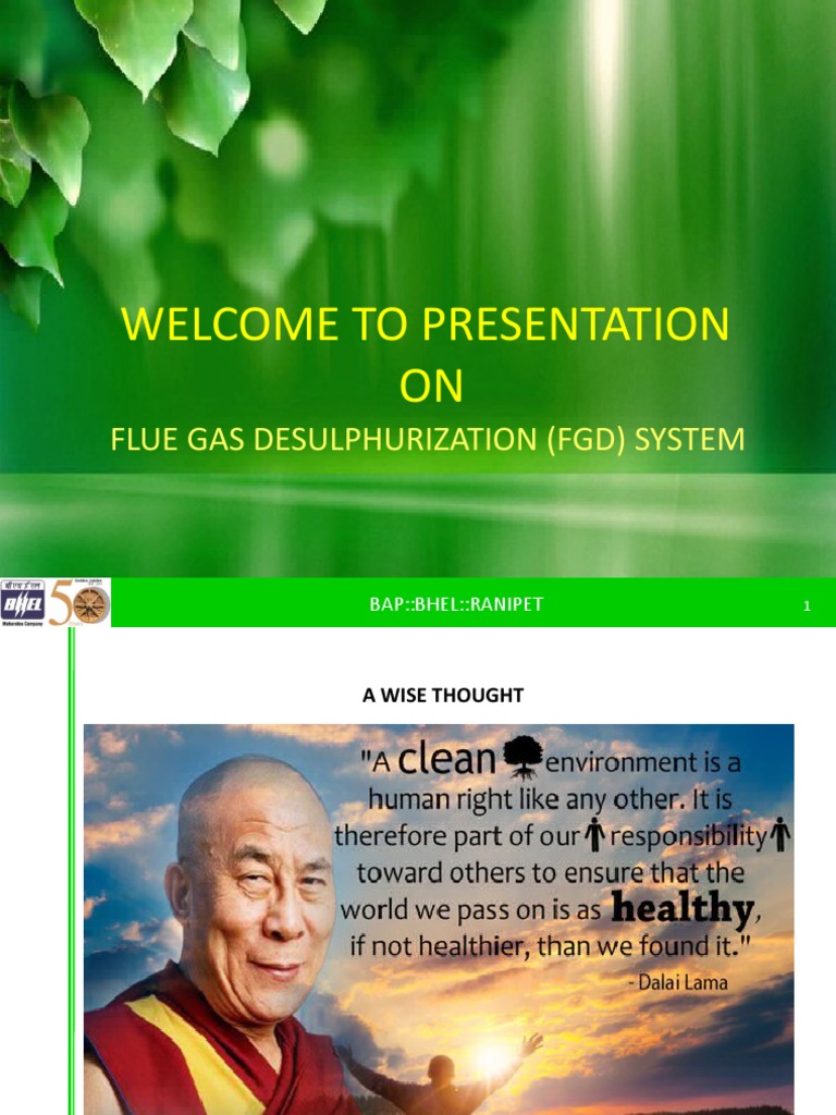 Flue Gas Desulfurization Overview | PDF | Bicarbonate | Gases