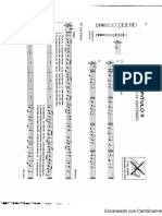 Salomé- flauta fa# (1).pdf