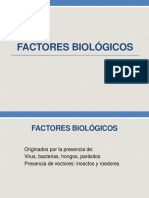 FACTORES BIOLÓGICOS