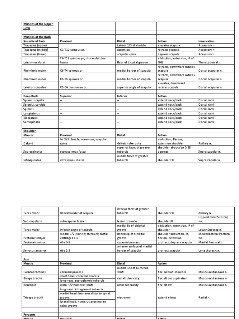 Muscles of The Upper Limb Muscles of The Back Superficial Back Proximal ...